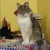 Отзыв от Пелагея Казакова